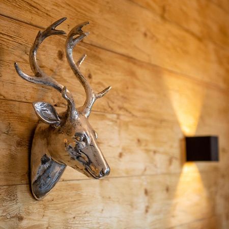 Auszeit Im Harz Haus 3 Wohnung 6 Braunlage Dış mekan fotoğraf
